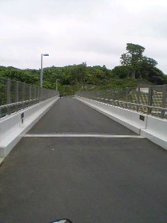 08-05-05_16-39.jpg